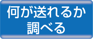 何が送れるか調べる